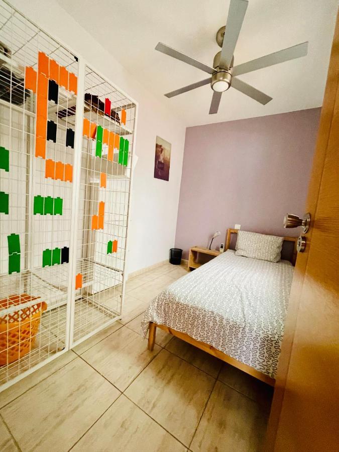 Piso Amplio Familiar Apartment Telde Luaran gambar
